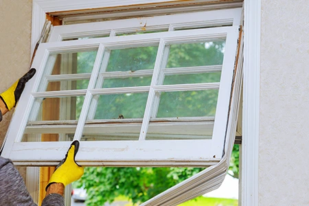 Window Replacement in Riverview, FL